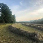 Grand De Filot