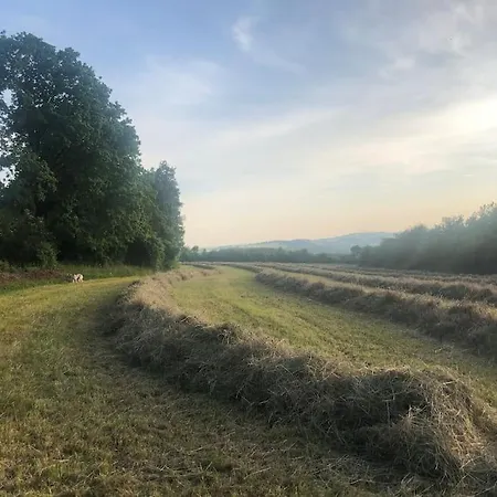 Grand De Filot