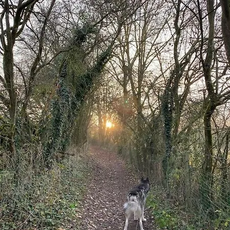 Grand De Σπίτι διακοπών Filot