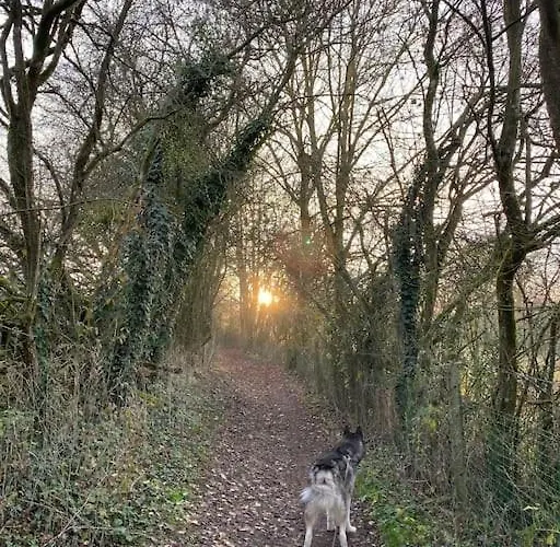 Grand De Ferienhaus Filot